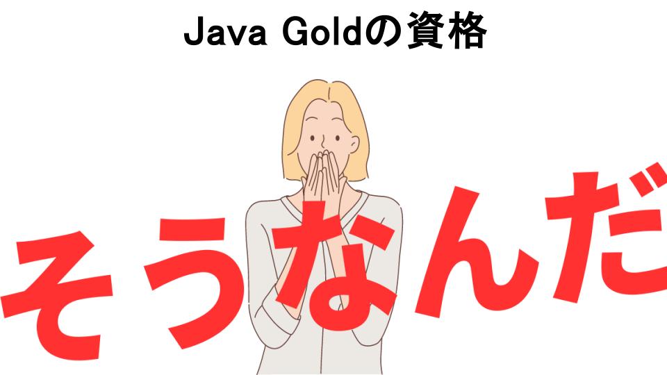 意味ないと思う人におすすめ！Java Goldの資格の代わり